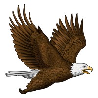 EAGLE USA, Inc logo, EAGLE USA, Inc contact details