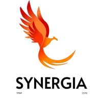 SYNERGIA SOLUÇÕES ENGENHARIA  LTDA logo, SYNERGIA SOLUÇÕES ENGENHARIA  LTDA contact details