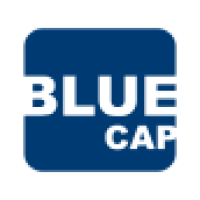 BlueCap Gestão de Recursos logo, BlueCap Gestão de Recursos contact details