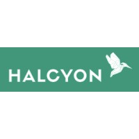 Halcyon Consulting Inc logo, Halcyon Consulting Inc contact details