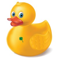 Lucky Duck Software logo, Lucky Duck Software contact details