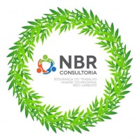 NBR Consultoria LTDA logo, NBR Consultoria LTDA contact details