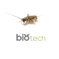 BIOTECH ACTIVITIES logo, BIOTECH ACTIVITIES contact details