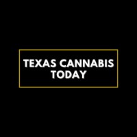 Texas Cannabis Today logo, Texas Cannabis Today contact details