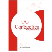 Conegelics Consulting International Ltd logo, Conegelics Consulting International Ltd contact details