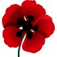 Tall Poppy Consulting logo, Tall Poppy Consulting contact details