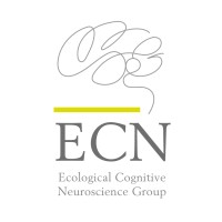 ECN Group logo, ECN Group contact details