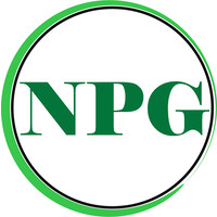 NPG INGENIERIA logo, NPG INGENIERIA contact details