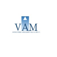 Consultores Asociados VAM, S.A. de C.V. logo, Consultores Asociados VAM, S.A. de C.V. contact details