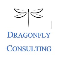 Dragonfly Consulting Services, LLC. logo, Dragonfly Consulting Services, LLC. contact details