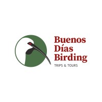 Buenos Dias Birding logo, Buenos Dias Birding contact details