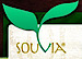 Souvia Tea logo, Souvia Tea contact details