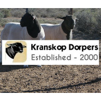 Kranskop Dorpers logo, Kranskop Dorpers contact details