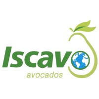 ISCAVO MÉXICO logo, ISCAVO MÉXICO contact details