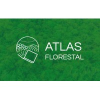 Atlas Florestal - Sustentabilidade Criativa logo, Atlas Florestal - Sustentabilidade Criativa contact details