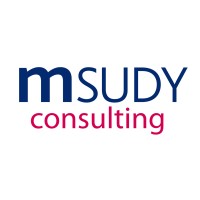 MSUDY Consulting logo, MSUDY Consulting contact details