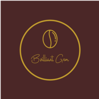 Brilliant Gem LLC logo, Brilliant Gem LLC contact details