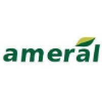 AMERAL INTERNATIONAL, INC. logo, AMERAL INTERNATIONAL, INC. contact details