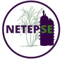 NETEPSE - Núcleo de Estudos em Tecnologias de Processos Sucroenergéticos logo, NETEPSE - Núcleo de Estudos em Tecnologias de Processos Sucroenergéticos contact details