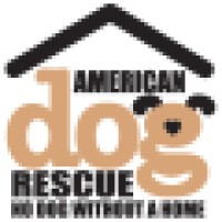 American Dog Rescue logo, American Dog Rescue contact details