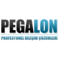 Pegalon Information Technologies logo, Pegalon Information Technologies contact details