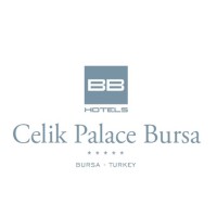 BB Çelik Palace Hotel logo, BB Çelik Palace Hotel contact details