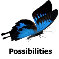 Possibilities Consulting, LLC. logo, Possibilities Consulting, LLC. contact details