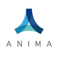 Anima Consultores logo, Anima Consultores contact details