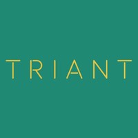 TRIANT Fomento Mercantil logo, TRIANT Fomento Mercantil contact details