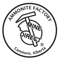 Ammonite Factory logo, Ammonite Factory contact details