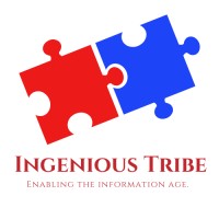 Ingenious Tribe Private Limited logo, Ingenious Tribe Private Limited contact details