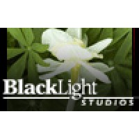 BlackLight Studios logo, BlackLight Studios contact details