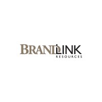 Brandlink Resources logo, Brandlink Resources contact details