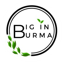 Big in Burma logo, Big in Burma contact details