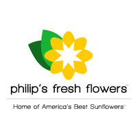 Philip's Fresh Flowers logo, Philip's Fresh Flowers contact details