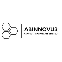 ABINNOVUS CONSULTING PRIVATE LIMITED logo, ABINNOVUS CONSULTING PRIVATE LIMITED contact details