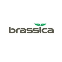 BRASSICA PHARMA PVT. LTD. logo, BRASSICA PHARMA PVT. LTD. contact details