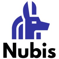 Nubis IT Services  | Salesforce Professional Services India logo, Nubis IT Services  | Salesforce Professional Services India contact details