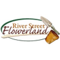 River Street Flowerland logo, River Street Flowerland contact details