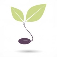 The Wellness Seed logo, The Wellness Seed contact details