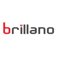 Brillano IT Solutions Private Limited logo, Brillano IT Solutions Private Limited contact details