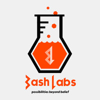 Bash Labs logo, Bash Labs contact details