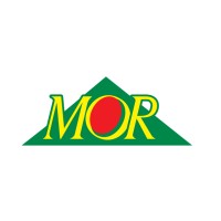 Mor International logo, Mor International contact details