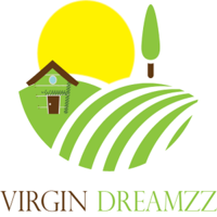 Virgin Dreamzz India Pvt. Ltd. logo, Virgin Dreamzz India Pvt. Ltd. contact details