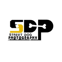 SDP Creations logo, SDP Creations contact details