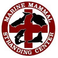 Marine Mammal Stranding Center logo, Marine Mammal Stranding Center contact details