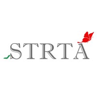 STRTA Consulting Services Private Limited logo, STRTA Consulting Services Private Limited contact details