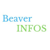 Beaver Info Systems logo, Beaver Info Systems contact details