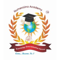 NumeroUno Academy of Banking & International Business logo, NumeroUno Academy of Banking & International Business contact details