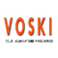 VOSKI GROUP logo, VOSKI GROUP contact details